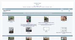 Desktop Screenshot of galeria.podlas.pl